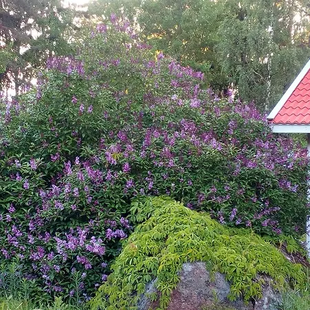 Tavastas Gard Lovisa